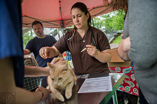 Dr. Jaime Feroli gives Kinkel her vaccinations during the Paws for a Cause event at Glenlake Park in Decatur on Saturday, April 18, 2015.