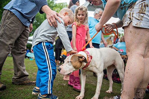 Asher Wolf (left) and his sister Delilah pet Chili, a two-year-old shar pei mix up for adoption, during the Paws for a Cause event at Glenlake Park in Decatur on Saturday, April 18, 2015.