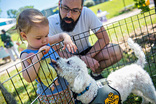 Quinn Horner (left) and her father Chris visit with Ozzie, a miniature poodle, during Bark at the Park at Brookhaven Park on Saturday, May 23, 2015.  