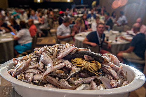 A dish filled with different species of seafood that was once considered worthless sits in front of a crowd of people before the start of the Trash Fish: A Chef's Treasure demonstration during the Atlanta Food & Wine Festival at Loews Atlanta Hotel in Midtown on Saturday, May 30, 2015. 