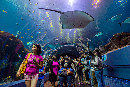 The Georgia Aquarium on Monday, April 27, 2015.