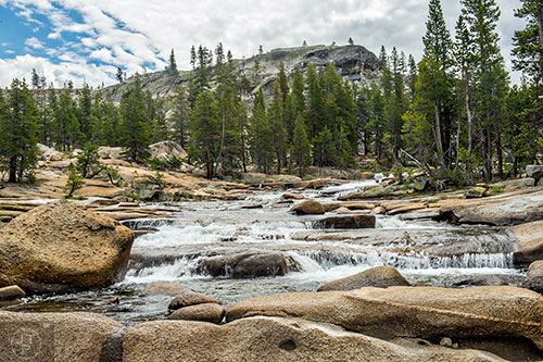 Scenes from the Glen Aulin Trail in the backcountry of Yosemite National Park in California on Tuesday, July 21, 2015.