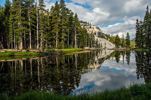 Scenes from the Glen Aulin Trail in the backcountry of Yosemite National Park in California on Wednesday, July 22, 2015.