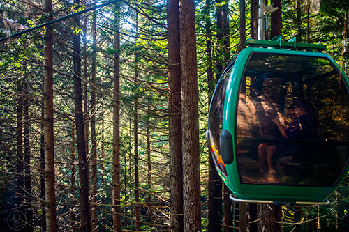 The Sky Trail inside the Trees of Mystery in California on Friday, July 24, 2015.