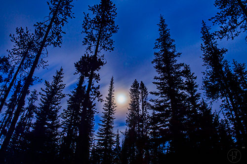 Clouds obscure the moon through the trees inside Crater Lake National Park in Oregon on Sunday, July 26, 2015