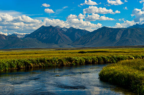 The Owens River near Yosemite National Park in California on Saturday, July 18, 2015.