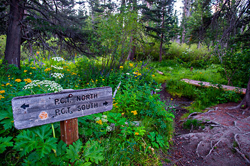 The trailhead from Agnew Meadow for the Pacific Crest Trail on Monday, July 20, 2015.