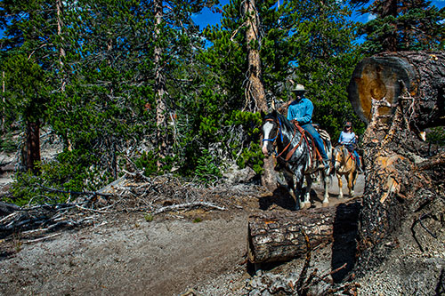 Riders on horseback pass along the Pacific Crest Trail on Monday, July 20, 2015.