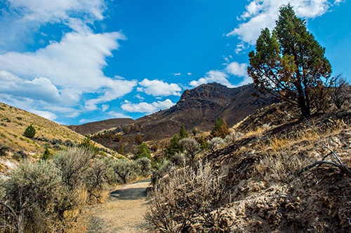 The Blue Basin Area of the John Day Fossil Beds National Monument in Oregon on Monday, August 3, 2015.