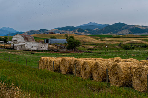 A farm on the border between Idaho and Montana on Wednesday, August 5, 2015,