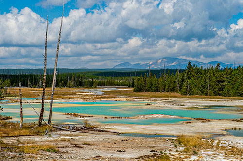 The Norris Geyser Basin inside Yellowstone National Park in Wyoming on Thursday, August 6, 2015.