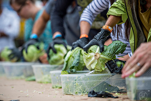 The cabbage shredding competition during the Cabbagetown Chomp & Stomp in Atlanta on Saturday, November 7, 2015.