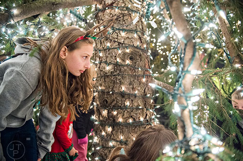 The 2015 Alpharetta Tree Lighting on Saturday, December 5, 2015.