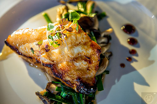 O-Ku Sushi in Atlanta serves up sea bass Yu-An Yaki on a bed of mushrooms, asian chives and oyster sauce.