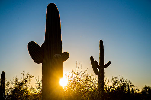 Sunset at Sabino Canyon in Tucson Arizona.