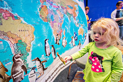 Ella Duke tries to find a spot on the map to place a paper penguin during Party with the Penguins at the Georgia Aquarium in Atlanta on Saturday, January 30, 2016. 
