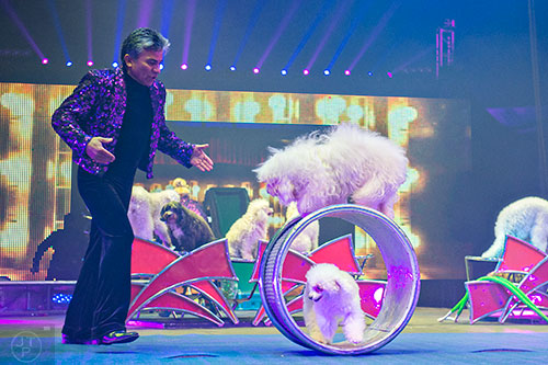 The Olate Dogs perform during the opening night of the UniverSoul Circus in Atlanta on Wednesday, February 3, 2016. 