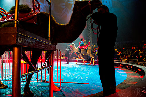 Ariel Alcindor (center) rides on a camel during intermission at the opening night of the UniverSoul Circus in Atlanta on Wednesday, February 3, 2016. 