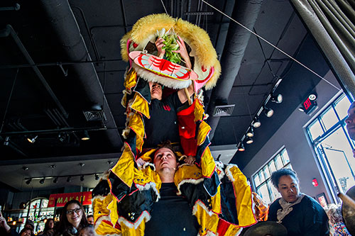 Brian Depue (bottom center) holds Mary Ruth Ralston on his shoulders as she takes down a head of cabbage during the Lunar New Year Celebration at Makan in Decatur on Saturday, February 6, 2016.
