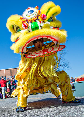 Chris Lu performs a traditional lion dance with his partners during the Atlanta Chinese Lunar New Year Festival in Chamblee on Saturday, February 13, 2016. 