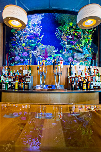 A large aquarium is the backdrop to the bar at Cowfish.