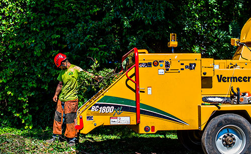 Crews remove trees from the Atlanta Beltline Eastside Trail extension in Reynoldstown.