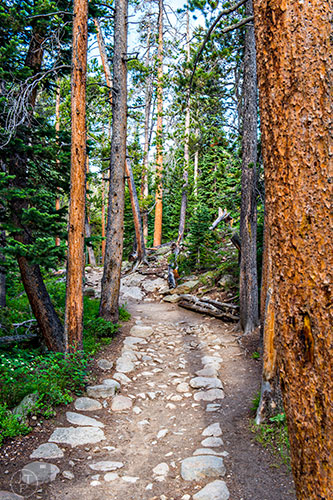 The trail leading to Calypso Cascades inside Rocky Mountain National Park in Colorado on Sunday, July 3, 2016.