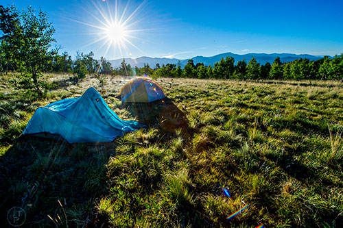 Tents in the early morning sun at Pike National Forest in Colorado on Saturday, July 10, 2016.