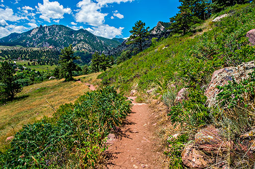 Homestead Trail outside of Boulder Colorado on Wednesday, July 20, 2016.