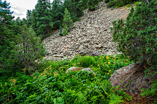 The beginning of the boulder field leading up to Bear Peak along Shadow Canyon Trail outside of Boulder, Colorado on Wednesday, July 20, 2016.