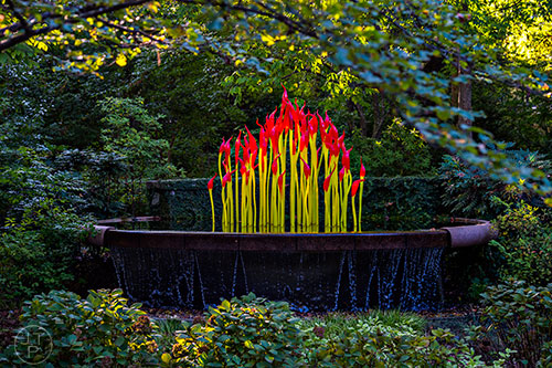 Chihuly's Fern Dell Paintbrushes installation at the Atlanta Botanical Garden during Chihuly in the Garden.