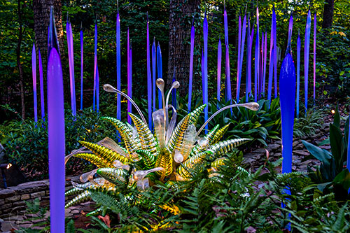 Chihuly's Green Hornets and Waterdrops installation at the Atlanta Botanical Garden during Chihuly in the Garden.