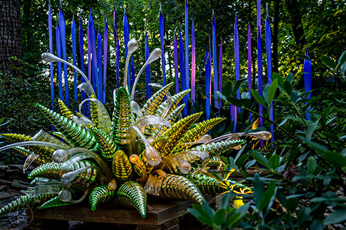 Chihuly's Green Hornets and Waterdrops installation at the Atlanta Botanical Garden during Chihuly in the Garden.