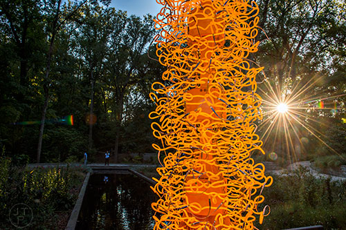 The sun filters through the trees near Chihuly's Saffron Tower installation at the Atlanta Botanical Garden during Chihuly in the Garden.