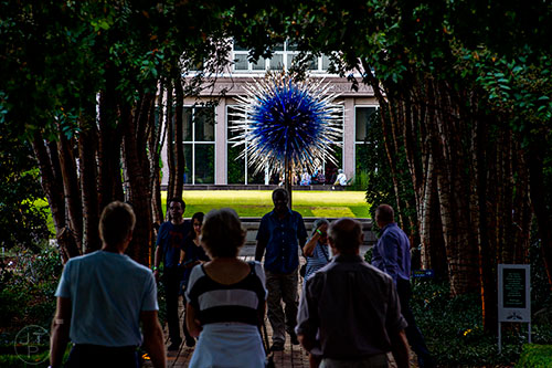 Chihuly's Sapphire Star installation is illuminated in the sun as visitors explore the Atlanta Botanical Garden during Chihuly in the Garden.