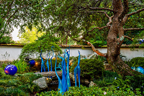 Chihuly's Turquoise Marlins and Floats installation at the Atlanta Botanical Garden during Chihuly in the Garden.