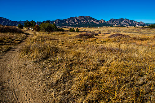 Marshall Valley Trail leading to Marshall Mesa outside of Boulder, Colorado on Thursday, November 10, 2016.